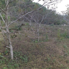 cần bán 2ha đất lương sơn hb cách tt hà nội 40km