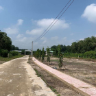 chính chủ cần ra gấp vài nền day nhất trong tháng này