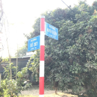 Đất bán xã Tân An Hội, Củ Chi. DT 1945m2 giá 8 tỷ