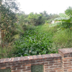 Bán 1000m2, 6,5 tỷ, MT Rạch, đường số 5, Long Phước Quận 9.