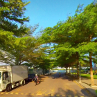 Sang gấp 119m2 MT Vườn Lài,An phú Đông,Quận 12 ngay cầu APĐ giá 1,6tỷ,TC 100%