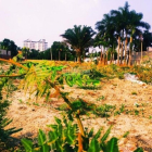 Chính chủ cần tiền bán gấp lô góc MT Nguyễn Đôn Tiết , Q2. Giá 3,7 tỷ