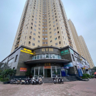 Cho thuê sàn 160m2 Nguyễn Chánh, Cầu Giấy Lô góc, view đẹp, vỉa hè rộng