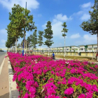 Chính chủ cần tiền trả nợ nên bán căn shophouse sát chợ hiện hữu.