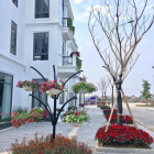 Biệt thự liền kề thái nguyên Thái hưng eco tity