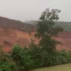 Hiện tôi có hơn 400hata đồi trọc tại khu vực phía Bắc