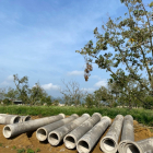 Tiến dộ án 81 lô biệt thự Evergreen Tp Bảo Lộc