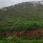 Hiện tôi có hơn 600hata đất rừng sản xuất tại khu vực phía Bắc