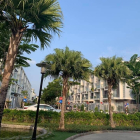 Rổ hàng Biệt Thự , Nhà Phố Jamona Golden Silk, 38 tiện ích công viên ven sông Q7