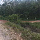 đất nền dầu tiếng xã minh hòa - sỗ hồng riêng