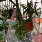 "Nhà phố Thái Hà chỉ vài bước ra đường ô tô, yên tĩnh trong lành