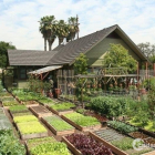 Bán Đất Vườn NHơn Trạch, sổ Riêng, giá 1 Tr/M2