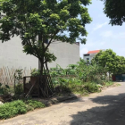 gia đình cần bán gấp lô đất 2mt trục đường phan đình giót_Liên Bảo_TP Vĩnh Yên