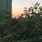 Cần Bán Căn Góc CC Gia Phú, Lầu 1, đã có sổ hồng