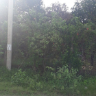 BÁN ĐẤT MẶT TIỀN ĐƯỜNG NHỰA XÃ LONG PHƯỚC-HUYỆN LONG THÀNH