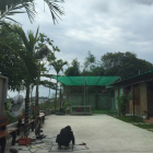 Bán nhà vườn nghỉ dưỡng, view sông, view Đảo Đại Phước