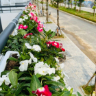 Bán căn shophouse mặt tiền rộng giao thoing thuận lợi