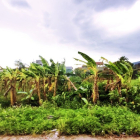 [Cực phẩm] Đất nằm ngay tại 4 dự án lớn tại Ngọc Mỹ