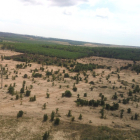 Bán 31588m2 đất giá 50k/m2 có sổ sẵn