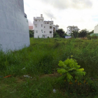 Nơi an cư lý tưởng MT Lê Trọng Tấn ngay chợ Việt Lập Dĩ An BD giá 980tr lô sổ hồ