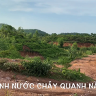 Bán 4.3 hecta đất cây lâu năm có sổ đỏ đầy đủ