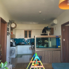 Bán căn góc Flora Fuji, 67m2 2PN 2WC, có ban công full nội thất, giá chỉ 2 tỷ 45