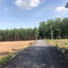 Gía tốt 21 tỷ 1 ha đất có thổ cư sau UBND Tân Hiệp do gia đình cần bán