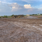 Bán đất vườn giá rẻ Phước Khánh Nhơn trạch giá 850tr/1000m2 shr đường ô tô