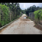 Bán 3393m đất vườn Bưởi đang thu hoạch tại xã Thạnh Phú, vĩnh cửu, ĐN.