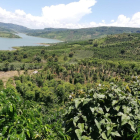 Đất trồng cây lâu năm. View sông Đồng Nai