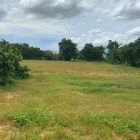 Đất Bình Thuận giá rẻ chỉ từ 50.000