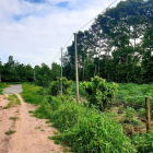 Bán 1000m2 đất sân bay Long Thành, có sẵn thổ cư, Gía 1tr/m2.