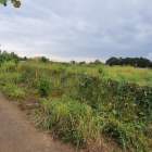 Cần bán GẤP đất ở xã Bầu Trâm, TP Long Khánh , Tỉnh Đồng Nai