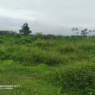 Bán Đất đấu giá, Thôn Phú Yên, Tam Dị, Lục Nam, Bắc Giang