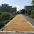 Bán đất chung cư Huê Xã Hoa Động-Thủy Nguyên -Hải Phòng