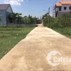 Bán Gấp Đất Đường Võ Thị Sáu 310m2 full thổ cư, đường oto, giá 3ty8