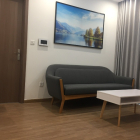 Quỹ 300 căn cho thuê Vinhomes Skylake