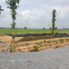 Cần bán gấp lô đất mặt tiền, SHR, DT :550m2, giá 600triệu,  xã Nhuận Đức, Củ Chi