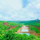 Đất Nghĩ Dưỡng View Hồ,View Đồi Thông Ngay Hồ Đắk Nông Thượng