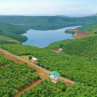 Đất chính chủ cần bán BẢO LỘC view Hồ Đăk Long Thượng