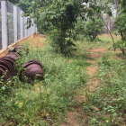 Đất nền gần trung tâm phố cổ Hội An - Quảng Nam giá rẽ cần bán gấp