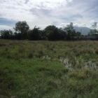 ĐẤT NINH ĐIỀN NINH THỌ GIÁ RẺ CẦN BÁN GẤP GẦN TẾT