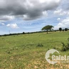 Đất Bình Thuận mặt tiền đường, cách 1A 1km có sổ chi 95 ngàn/m2