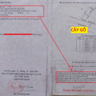 500 triệu thời 4.0 mua được 72m² đất MT Củ Chi!