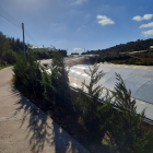 Cần bán gấp lô đất vườn đà lạt thích hợp làm farm