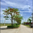 : THẬT DỄ DÀNG SỞ HỮU ĐẤT NỀN TẠI DỰ ÁN KHU ĐÔ THỊ SAO MAI XUÂN THỊNH - THỌ DÂN,