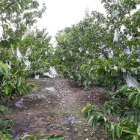 đất huyện vĩnh cửu 1 sào rưỡi, có 100m2 thổ cư