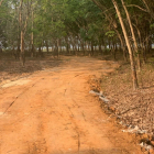 Lô Đất view Hồ Hơn 1000m2 Cực Đẹp Tại Xã Minh Hòa,Huyện Dầu Tiếng,Tỉnh BìnhDươg