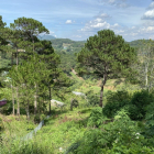 Đất View rừng Đà Lạt - Phường 3 giá đầu tư