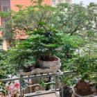 BÁN NHÀ TRUNG LIỆT - Ô TÔ TRÁNH - KINH DOANH - MẶT PHỐ - DT44m/ MT4m - 12.6 TỶ